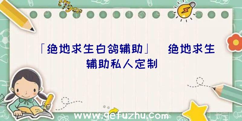 「绝地求生白鸽辅助」|绝地求生辅助私人定制